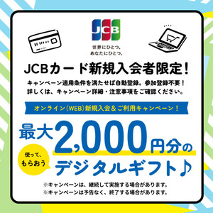 スルガカード（JCB）【スルガ銀行口座必須】