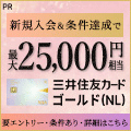 三井住友カード ゴールド（NL）オーロラデザイン